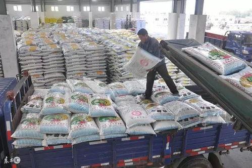 今日农村爆料大全,今日农村爆料大全深度解析  第3张